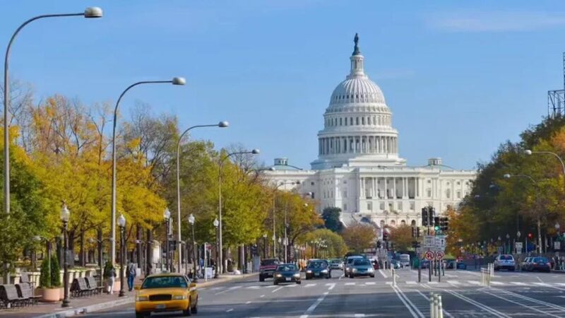 Washington DC: Capitol Hill Walking Tour - Experience Highlights