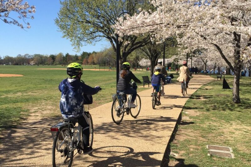 Washington DC: Cherry Blossom Festival Tour by Bike - Itinerary Highlights