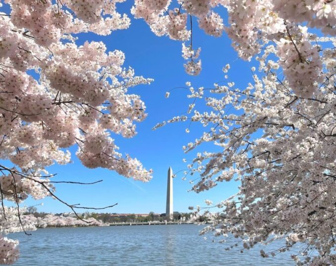 Washington DC: City Sightseeing Private Limousine Tour - Cancellation Policy