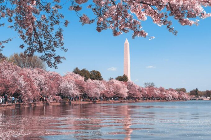 Washington DC: City Sightseeing Private Limousine Tour - Frequently Asked Questions