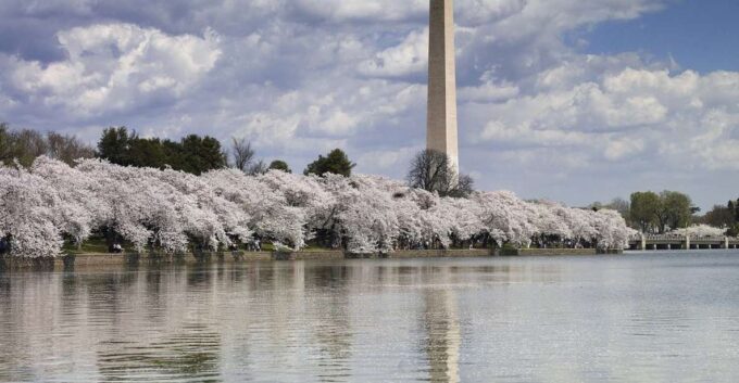 Washington Dc: Half-Day Bus Tour With Optional Museum Ticket - Free Cancellation and Reserve Now & Pay Later