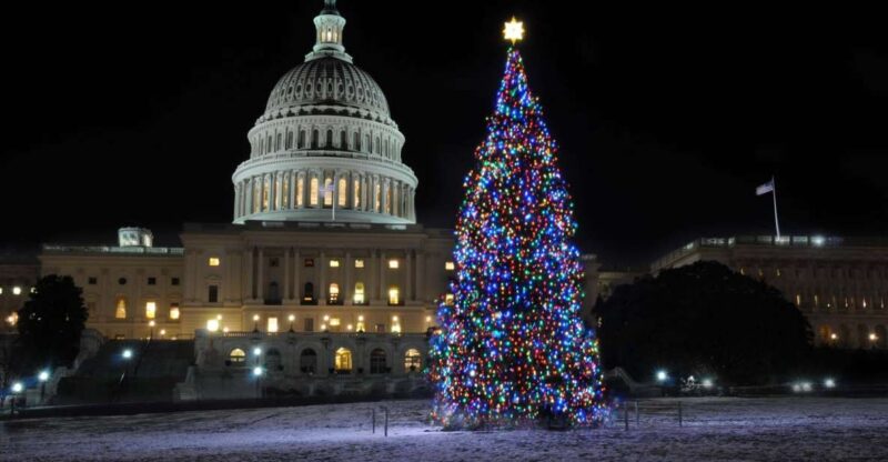 Washington, DC: Holiday Lights Nighttime Bus Tour - Tour Highlights