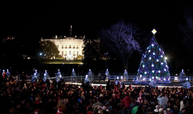 Washington, DC: Holiday Lights Nighttime Bus Tour - Pricing and Duration