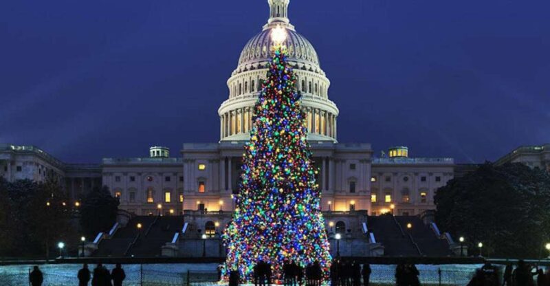 Washington DC: Moon Light Tour of National Mall & Memorials - Tour Highlights