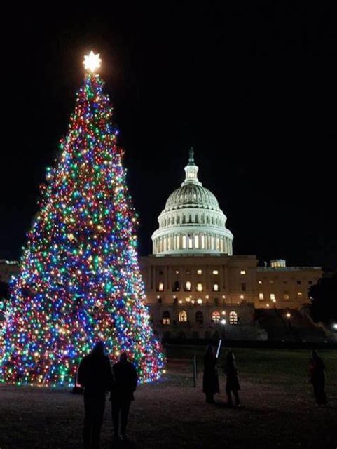 Washington DC: Moon Light Tour of National Mall & Memorials - Cancellation Policy