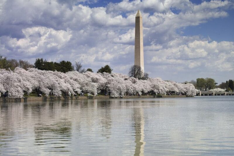 Washington DC Must See Sights Half-Day Tour - Tour Highlights