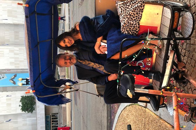 Washington DC National Mall and Museums Pedicab Tour - Accessibility and Participation