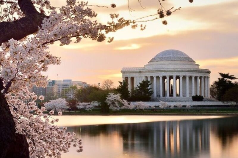 Washington Dc: Private Custom Tour With a Local Guide - Customization and Personalization