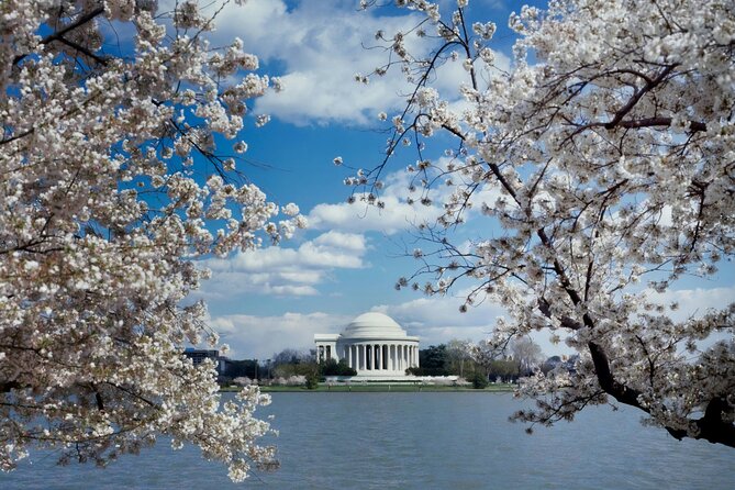 Washington DC Private Tour With Luxury SUV - Reviews