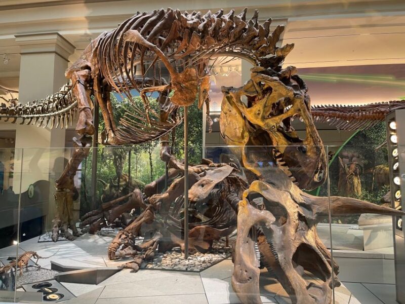 Washington DC: Smithsonian Highlights - Exploring the Smithsonian