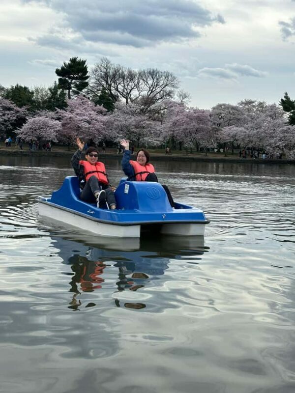 Washington DC: Tidal Basin Pedal Boat Rental - Key Points