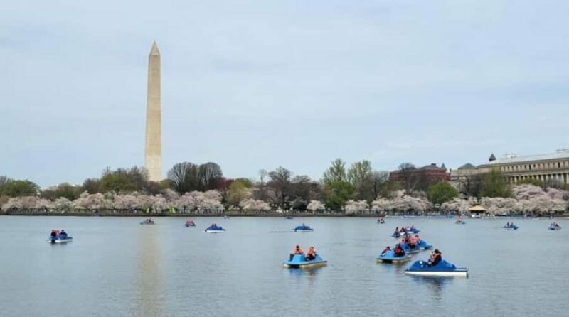 Washington DC: Tidal Basin Pedal Boat Rental - A Gentle Introduction to the Tidal Basin Pedal Boat Ride