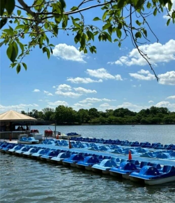 Washington DC: Tidal Basin Pedal Boat Rental - The Sum Up: Is the Tidal Basin Pedal Boat Rental Worth It?