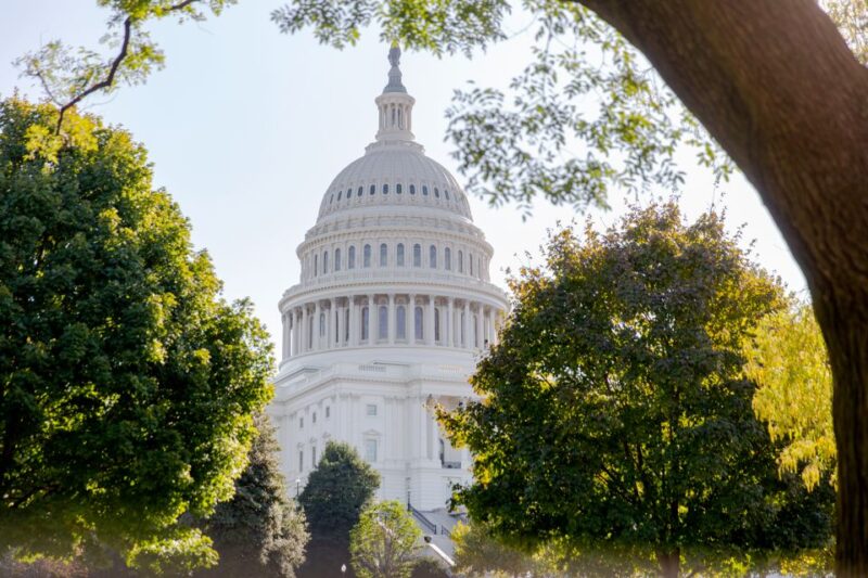 Washington DC: Washington Monument Entry & DC Highlights - Key Points