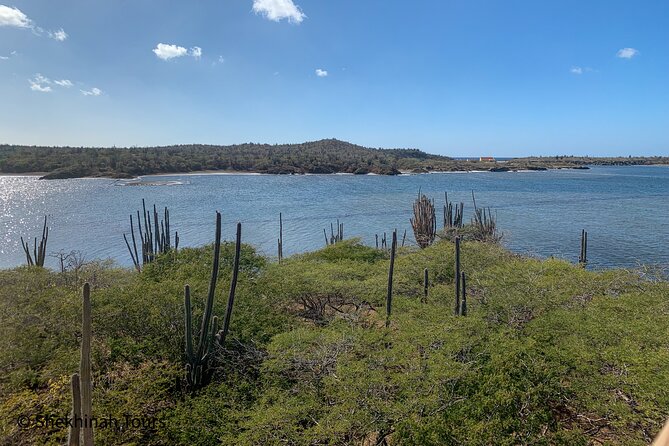 Washington Park Tour With Local Guide on Bonaire - Tour Overview