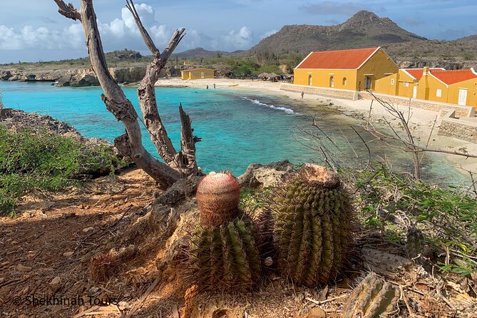 Washington Park Tour With Local Guide on Bonaire - Sea Turtle Nesting Ground