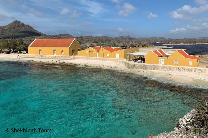 Washington Park Tour With Local Guide on Bonaire - Flamingo, Goat, and Iguana Sightings