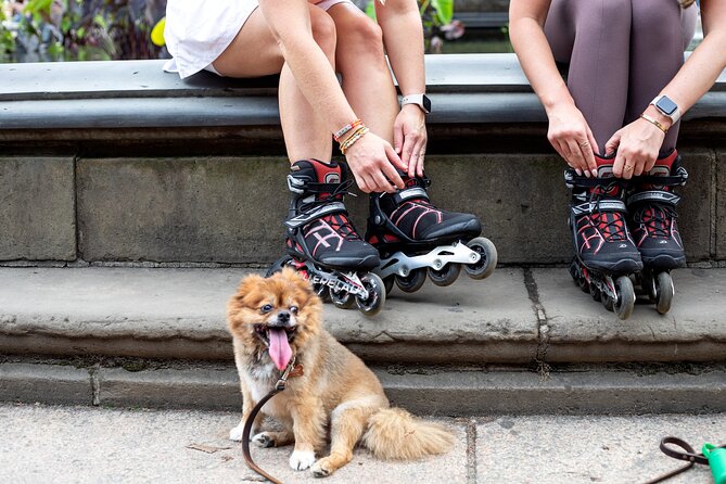 Washington Rollerblade Rentals - Key Points