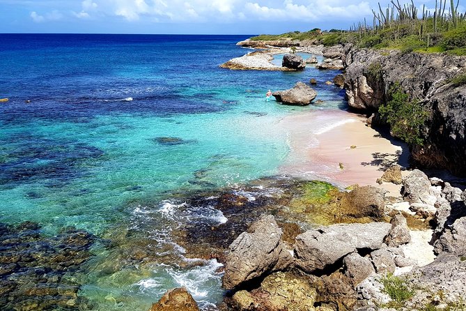 Washington Slagbaai National Park Tour in Bonaire - Tour Experience