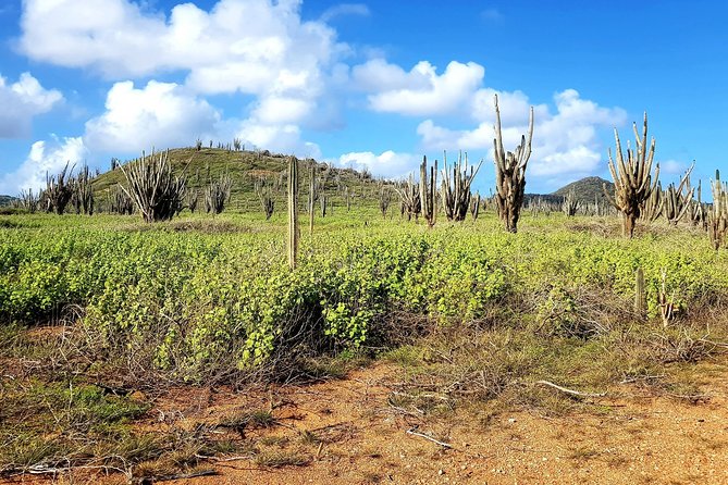 Washington Slagbaai National Park Tour in Bonaire - Dietary Requirements