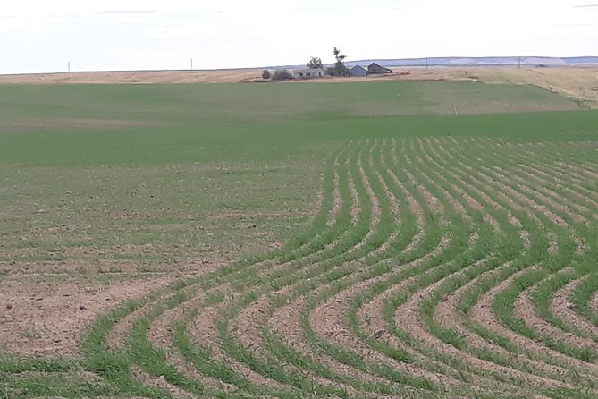 WASHINGTON ST AGRICULTURE, Apples & Irrigation - Frequently Asked Questions