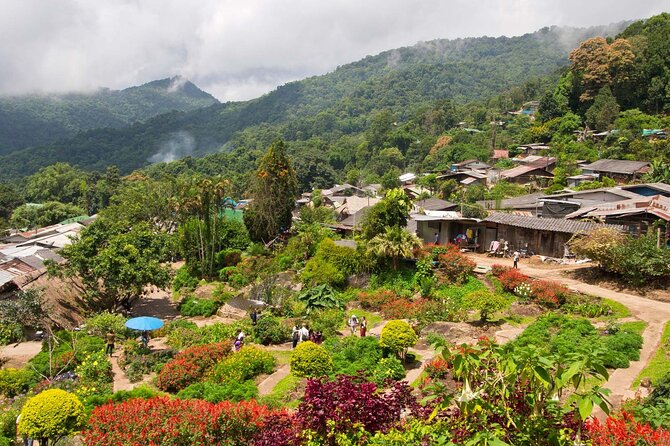Wat Phra That Doi Suthep & Hmong Village Half Day Tour From Chiang Mai - Review Highlights