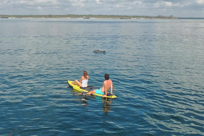 Watamu Marine Park & Sudi Island Mangrove Forest Canoe Ride.With Sea Food Lunch - Mangrove Forest Canoe Tour