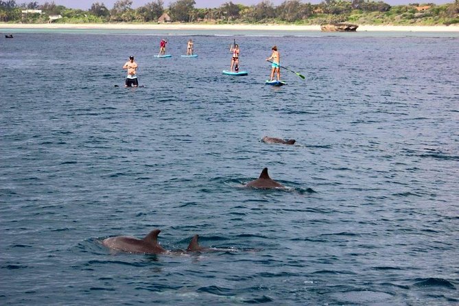 Watamu Marine Park & Sudi Island Mangrove Forest Canoe Ride.With Sea Food Lunch - Group Size and Cancellation Policy