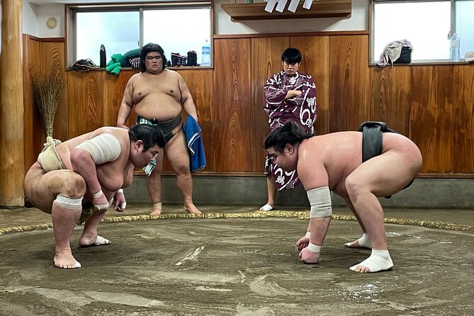 Watch the Real Sumo Morning Practice Tour at Yokozuna Stable - Guest Feedback