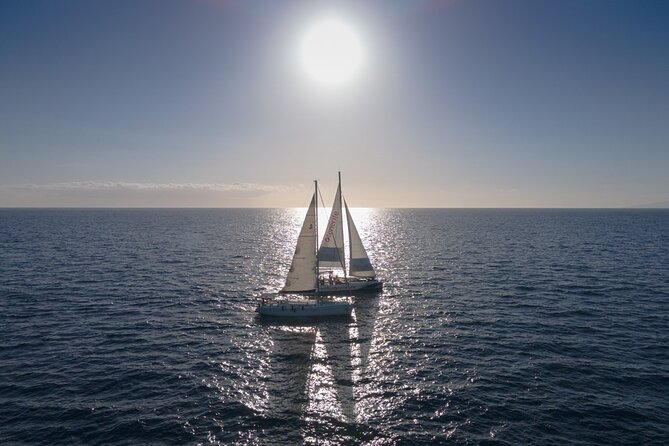 Watching and Listening Whales Visiting Los Gigantes&Masca. Food&Drinks Included - Skipper and Crew on Board