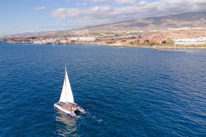 Watching and Listening Whales Visiting Los Gigantes&Masca. Food&Drinks Included - Onboard Meals and Refreshments
