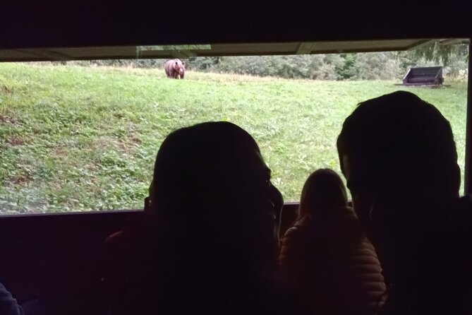 Watching Brown Bear Experience and Gulyas Taste From Brasov - Pricing and Group Size