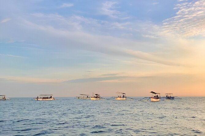 Watching Dolphin Tour at Lovina Beach - Tour Schedule and Inclusions