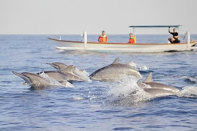 Watching Dolphin Tour at Lovina Beach - Highlights of the Tour