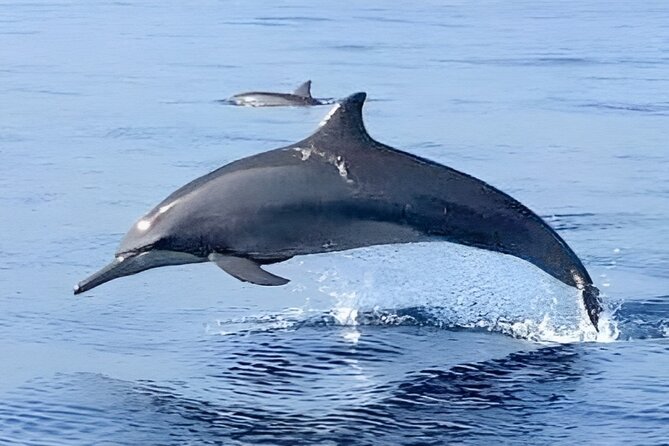 Watching Dolphin Tour at Lovina Beach - Explore the Surrounding Attractions