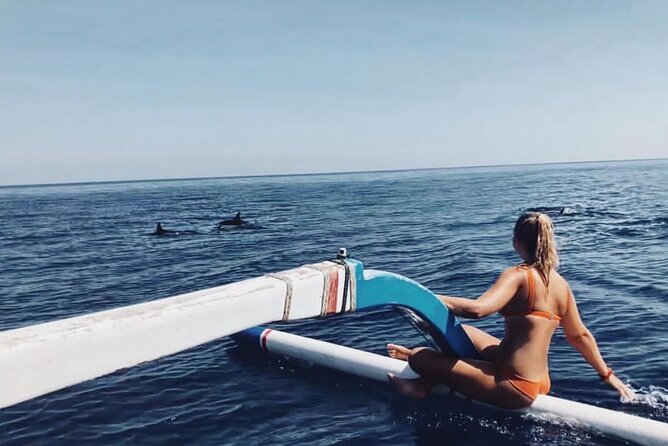Watching Dolphins Swimming and Snorkeling in Lovina Bali - Key Points