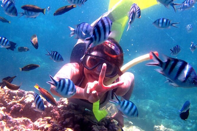 Watching Dolphins Swimming and Snorkeling in Lovina Bali - Exploring the Snorkeling Activity