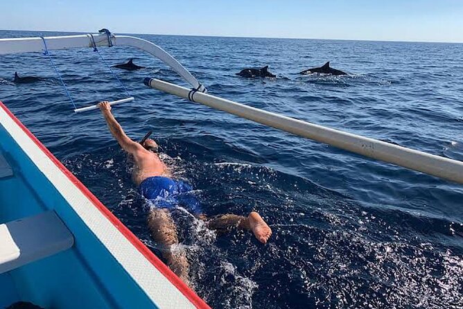 Watching Dolphins Swimming and Snorkeling in Lovina Bali - Positive Traveler Feedback