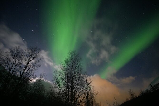 Watching The Aurora Dance - Guest Reviews