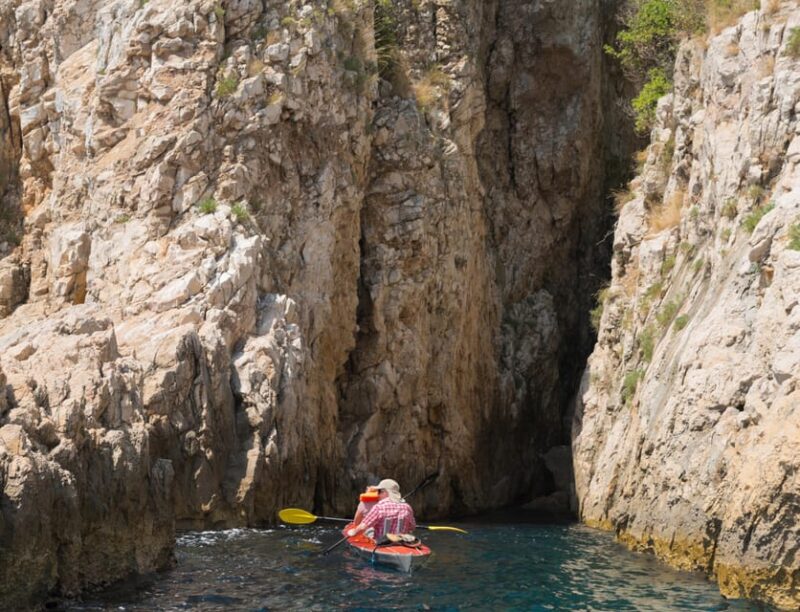 Water Activity, Kayak Tours With a Guide, Cliff Jumping - Customer Feedback