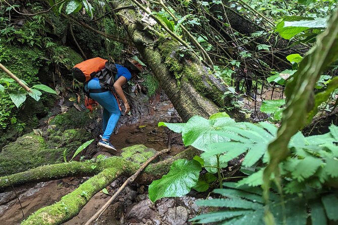Water Falls Rappelling Activity in Dominican Republic - Participant Requirements