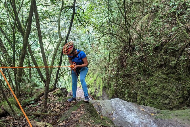 Water Falls Rappelling Activity in Dominican Republic - Booking Your Stay