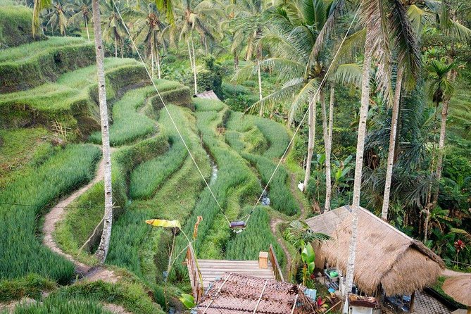 Water Rafting Adventure With Jungle Swing & Rice Terraces - Safety and Participation