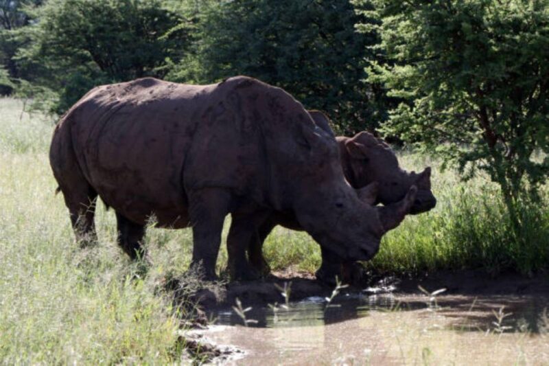 WaterBerg (Bela Bela) 3 Days Experiences - Cultural Experiences
