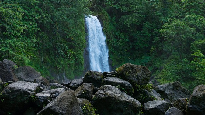 Waterfall And Champagne Reef Adventure - Itinerary Highlights