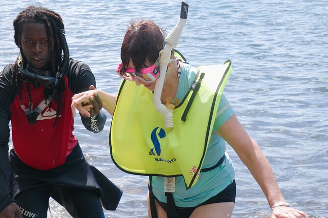Waterfall And Champagne Reef Adventure - Titou Gorge Alternative