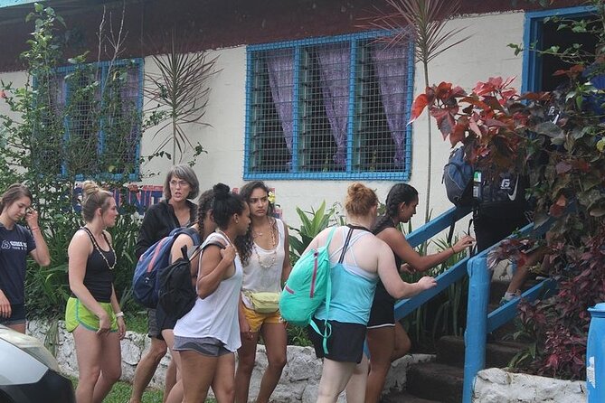 Waterfall and Fijian Village Tour With Light Lunch Ex Nadi Area Hotels - Meeting and Pickup