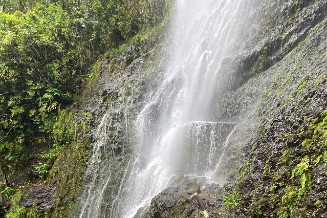 Waterfall and Rainforest Adventure - Booking Flexibility and Price