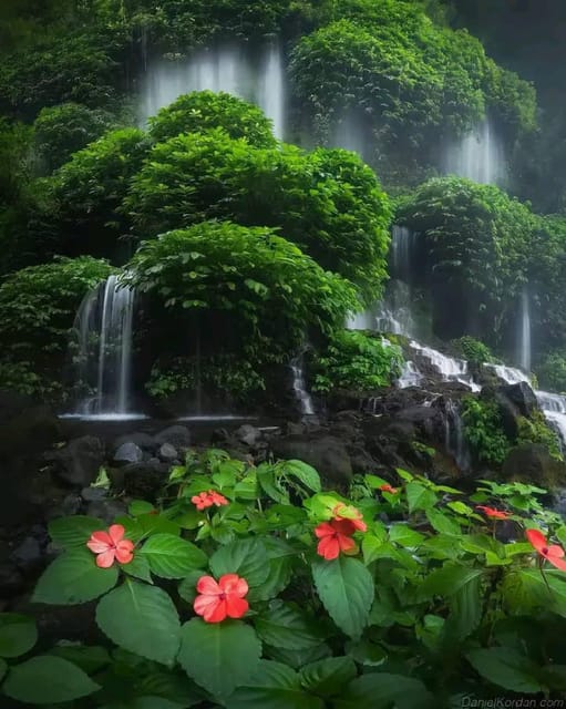 Waterfall Benang Kelabu & Walking On Rice Field - Wildlife Sightings