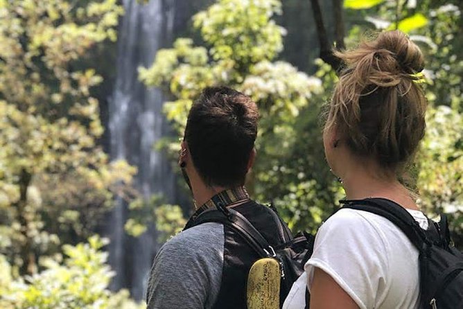 Waterfall & Coffee Walking Tour - Itinerary Details